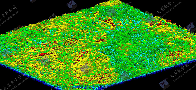 飛燕遙感激光點(diǎn)云成果林業(yè)CHM(1).jpg
